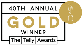 2019 gold telly award winner